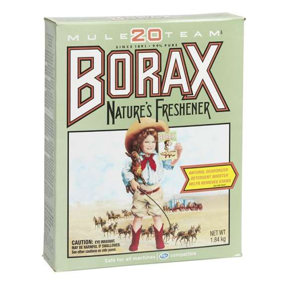 Borax and Their 20 Mule Team